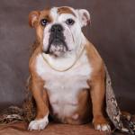 фото Мавлас Мар