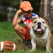 фото бульдога