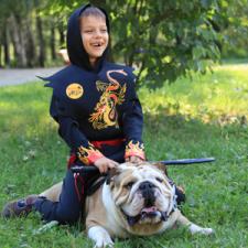 фото бульдога